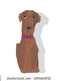 dog portrait profile, look down, vector
