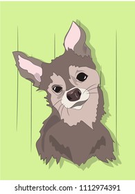 dog portrait profile, look down, vector