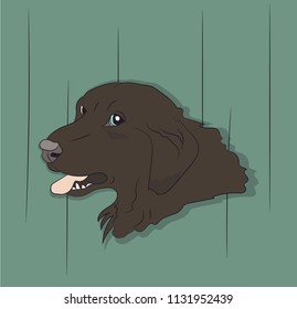 dog portrait profile, look down, vector