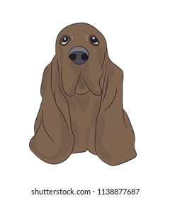 dog portrait profile, look down, vector