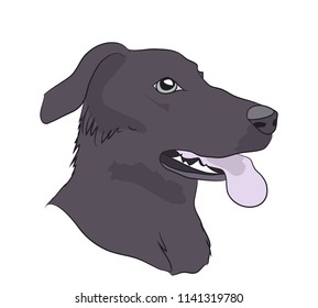 dog portrait profile, look down, vector