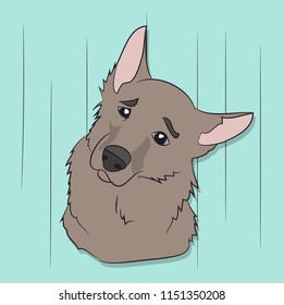 dog portrait profile, look down, vector