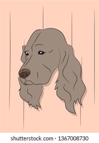 dog portrait profile, look down, vector