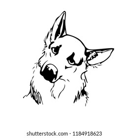 Dog portrait. Vector black and white illustration.