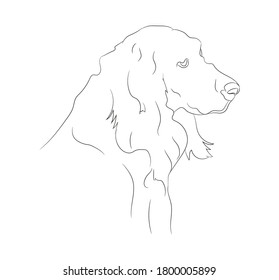 Hund-Portrait, Vektorgrafik, Linienzeichnung, Vektorgrafik, weißer Hintergrund