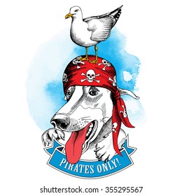 Dog portrait wearing a red pirate bandana with seagull on blue background. Vector illustration.