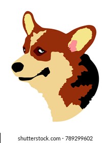 Dog portrait of Welsh corgi Cardigan vector illustration isolated.