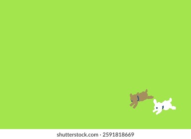 dog, postcard, frame, text space, light green