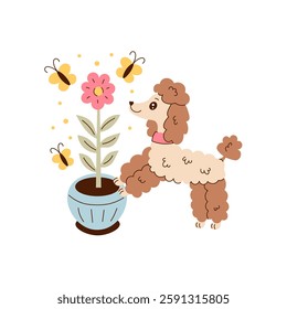 Dog Potted Plant Butterfly illustration. Fluffy Poodle Puppy standing near blooming flower with flying moth. Hand drawn flat vector Pet