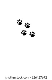 Dog prints 