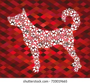 Dog of dog prints on a beautiful background of red diamonds