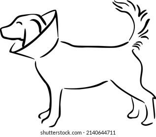 dog in protective harness hand draw vector illustration art