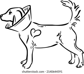 Dog in a protective headband with a heart hand draw vector illustration art