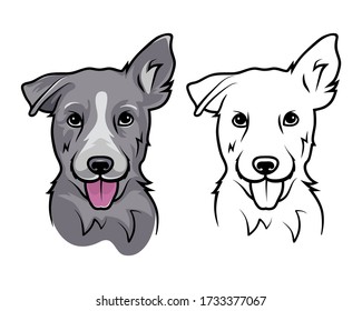 A dog with a protruding tongue. Dog on a white background.