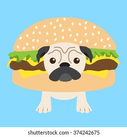 Dog , Pug burger in blue background