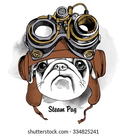 Dog Pug portrait in the Steampunk helmet. Vector illustration.