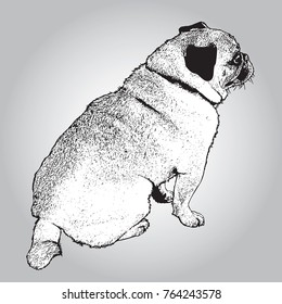 Dog pug sitting. Black and white picture of cute pet. Vector illustration in engraving style