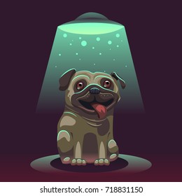 Dog. Pug with UFO on dark background. Spaceship with light beam. Cartoon character. Vector illustration.