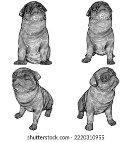 Hundepug Vektor 01. Illustration einzeln auf weißem schwarzem Hintergrund. Eine Vektorgrafik eines Pug-Welpen-Hundes.