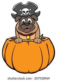 Dog in Pumpkin