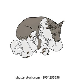 Dog with puppies breed Staffordshire Terrier. Illustration of home pet, veterinary clinic, zoo, pedigree