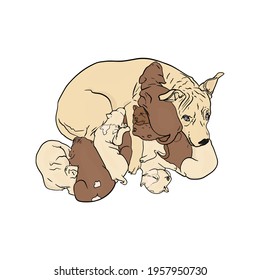 Dog with puppies breed Staffordshire Terrier. Illustration of home pet, veterinary clinic, zoo, pedigree