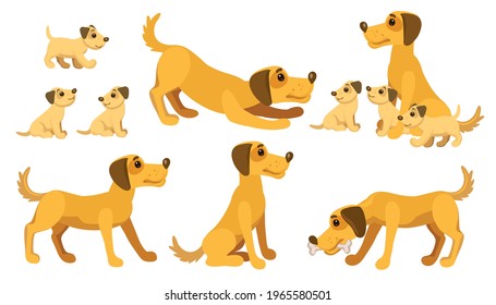Dog and puppies in different states. Dog family character set. Labrador retriever family with puppies vector illustration.