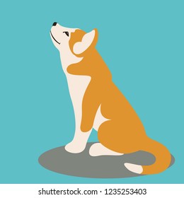 dog puppy husky, vector illustration ,flat style, profile view