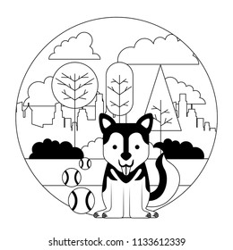dog puppy mascot with tennis balls in landscape