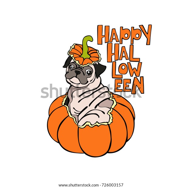 Dog Puppy Pug Halloween Pumpkin Isolated Stock Vector (Royalty Free ...