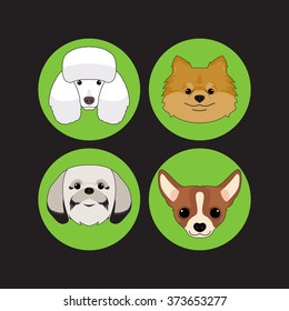 Dog and Puppy Set Poodle Vector and Icon