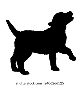 Dog Puppy silhouette Breeds Bundle Dogs on the move. Dogs in different poses. jumps, the dog runs. The dog is sitting. The dog is lying down playing
