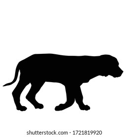 Dog puppy silhouette walking on white background, vector illustration