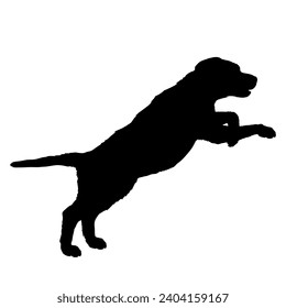 Dog Puppy stands on two legs jumping silhouette Breeds Bundle Dogs on the move. Dogs in different poses. High quality 
The dog jumps,  runs. sitting. The dog is lying down playing