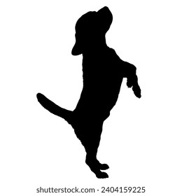 Dog Puppy stands on two legs silhouette Breeds Bundle Dogs on the move. Dogs in different poses. High quality 
The dog jumps,  runs. sitting. The dog is lying down playing