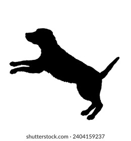 Dog Puppy stands on two legs jumping silhouette Breeds Bundle Dogs on the move. Dogs in different poses. High quality 
The dog jumps,  runs. sitting. The dog is lying down playing