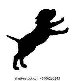 Dog Puppy stands on two legs jumping silhouette Breeds Bundle Dogs on the move. Dogs in different poses. jumps, the dog runs. The dog is sitting. The dog is lying down playing
