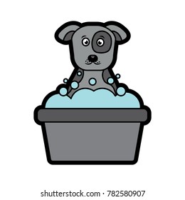 dog or puppy in tub  pet icon image 