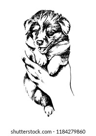 Dog puppy vintage vector hand drawn illustration