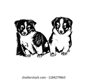 Dog puppy vintage vector hand drawn illustration