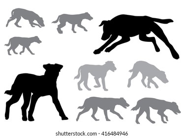 Dog. Puppy walking. Silhouette on a white background