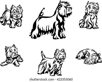 dog, purebred, breed, thoroughbred, vector, graphics, vector, image, line