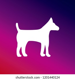 Dog purple and pink gradient material background. white icon minimal design
