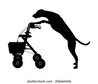 Dog pushes rollator