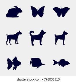 dog, rabbit, butterfly, fish icon, Vector illustration