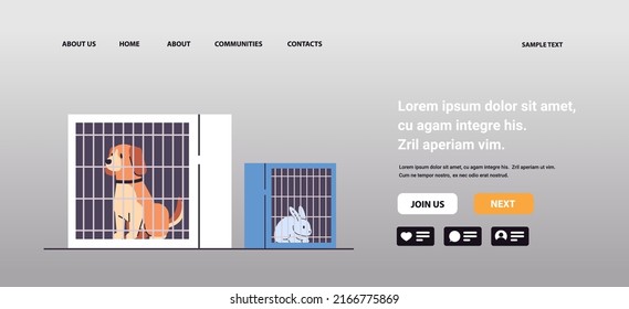 dog and rabbit sitting in cages experimental animals biological genetic engineering research at laboratory
