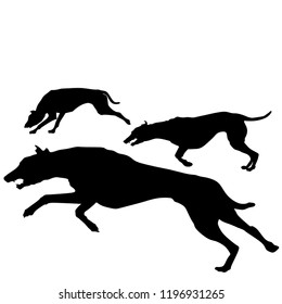 Dog Race, Silhouette on White Background
