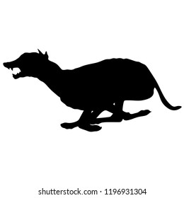 Dog Race, Silhouette on White Background