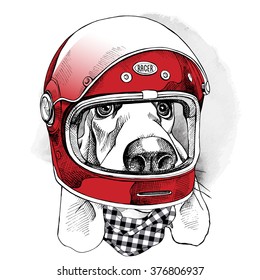 Dog Racer in a modern helmet. Vector illustration.