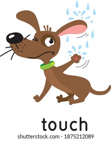 Dog and raindrops. One of five senses. Touch illustration
